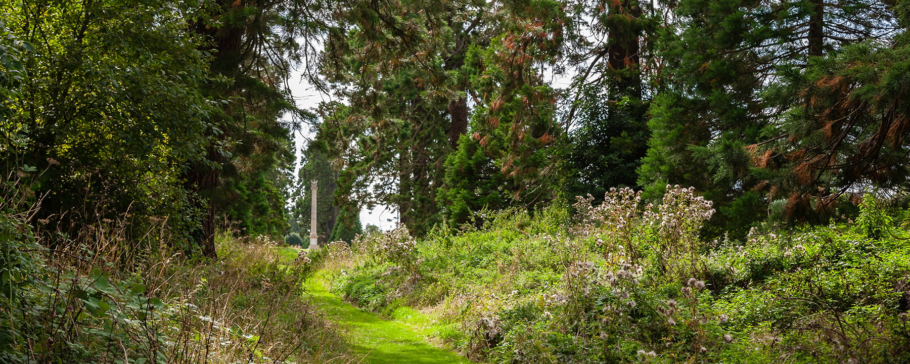 Walking Path